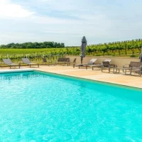 One Piece Swimming Pools 2